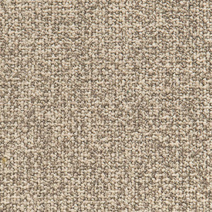 Crypton Fabric Study Oat