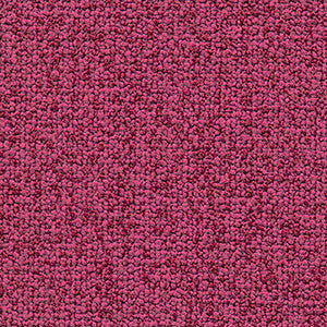 Crypton Fabric Study Strawberry