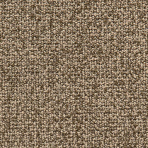 Crypton Fabric Study Tawny