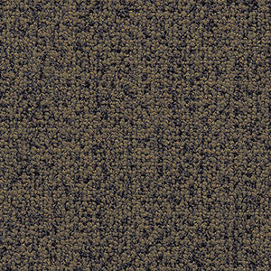 Crypton Fabric Study Timber