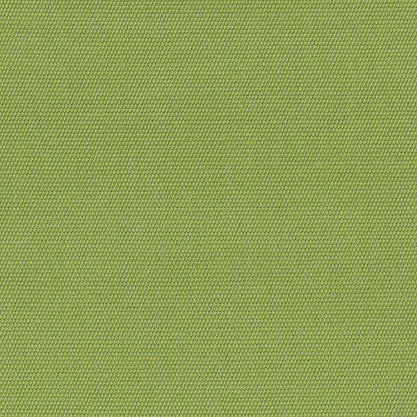 54011  Canvas Ginko by Sunbrella Designer Fabric our website for purchase 100% Sunbrella Acrylic USA (see sample) n/a 54"  - Swanky Fabrics -