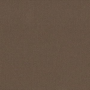 Sunbrella Fabric 5425 Canvas Cocoa