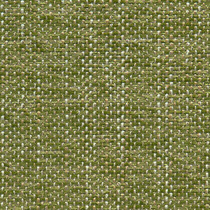 Crypton Fabric Syllabus Grass