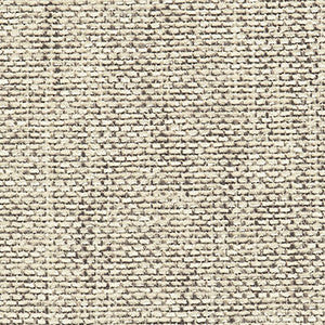 Crypton Fabric Syllabus Salt