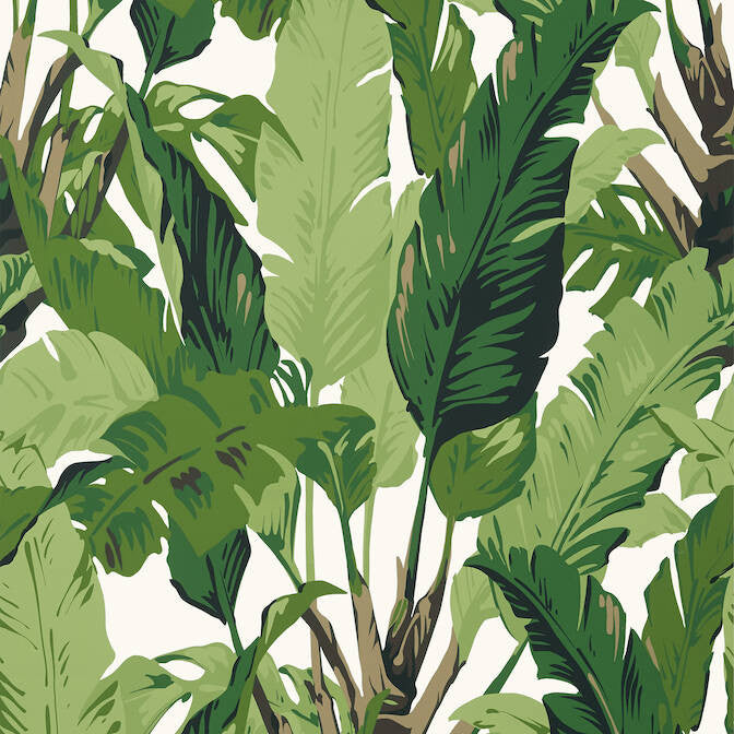 Travelers Palm Green T10127 by Thibaut Wallpaper Thibaut Wallpaper Travelers Palm Green T10127Wallpaper Tropics Non Woven Wallpaper UNITED KINGDOM </p><p>Repeat: V: 40 27 - Fabric Carolina -