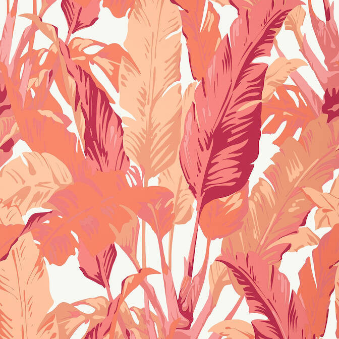 Travelers Palm Pink and Coral T10130 by Thibaut Wallpaper Thibaut Wallpaper Travelers Palm Pink and Coral T10130Wallpaper Tropics Non Woven Wallpaper UNITED KINGDOM </p><p>Repeat: V: 40 27 - Fabric Carolina -