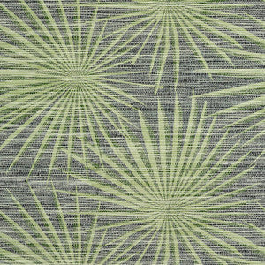 Thibaut Wallpaper Palm Frond Black and Green T10143