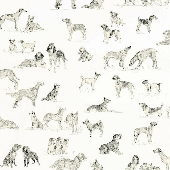Best Friend Black and White T1038 by Thibaut Wallpaper Thibaut Wallpaper Best Friend Black and White T1038Wallpaper Menswear Resource Wallpaper U.S.A. </p><p>Repeat: V: 27 27 - Fabric Carolina -
