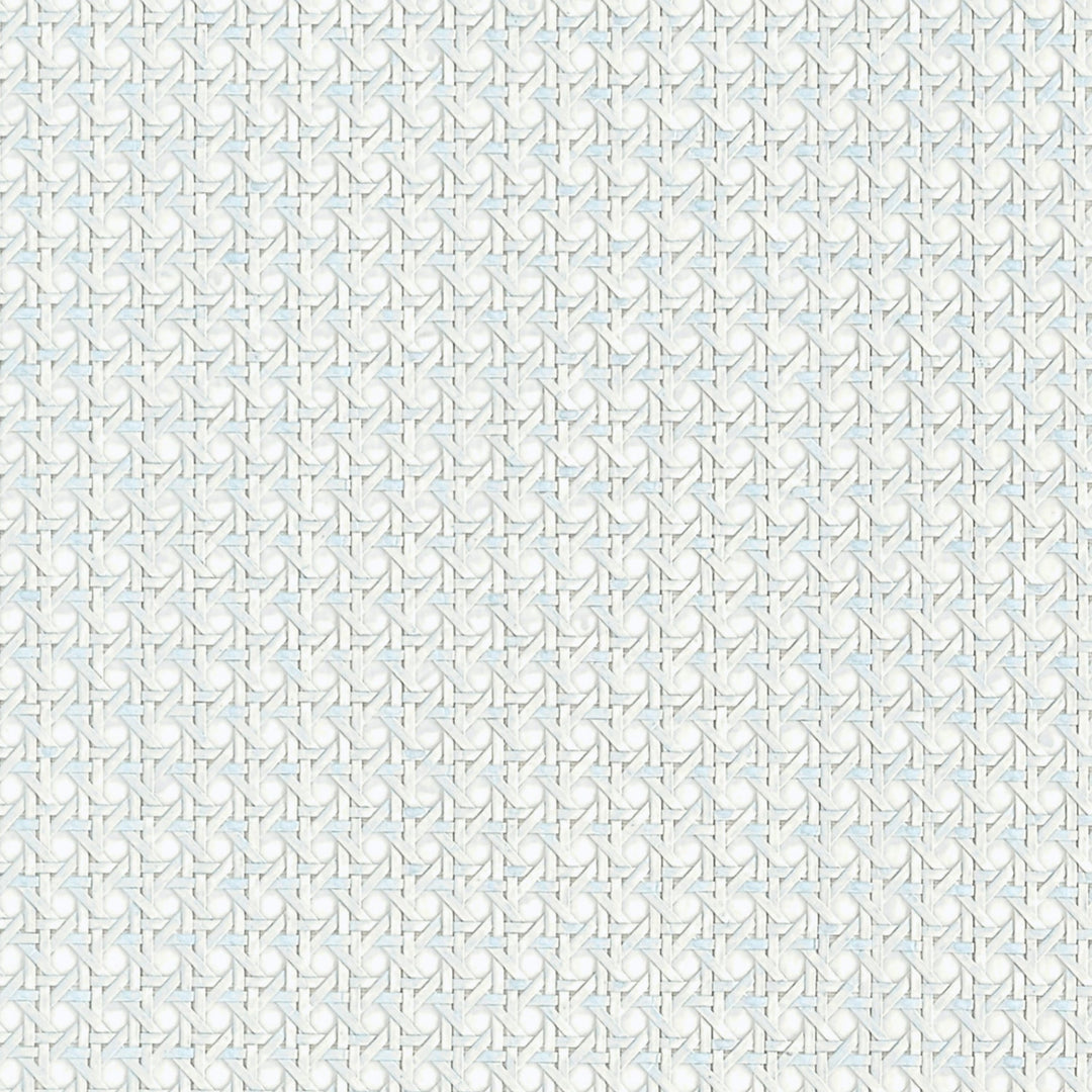 T10393