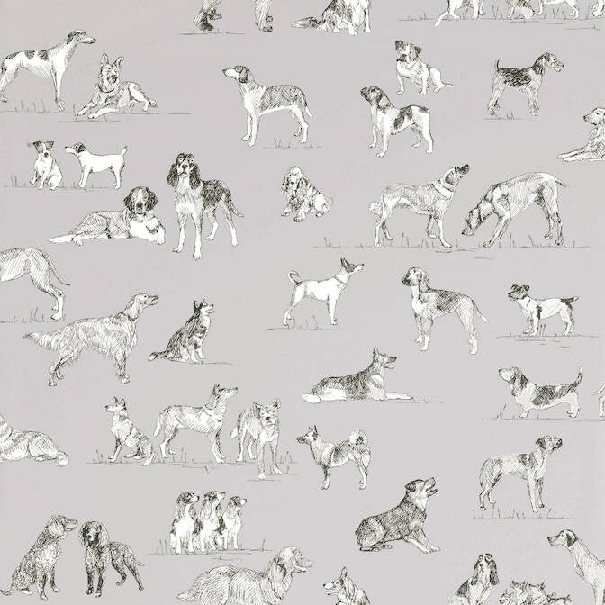 Best Friend Grey T1039 by Thibaut Wallpaper Thibaut Wallpaper Best Friend Grey T1039Wallpaper Menswear Resource Wallpaper U.S.A. </p><p>Repeat: V: 27 27 - Fabric Carolina -
