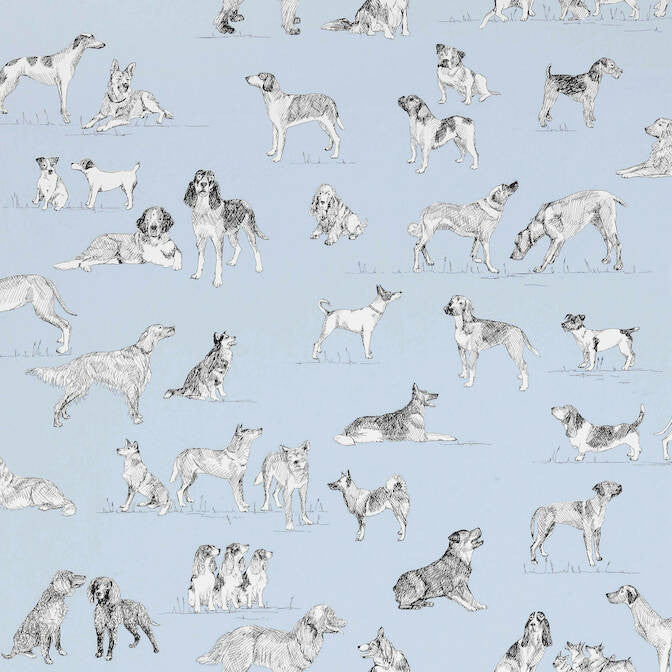Best Friend Blue T1040 by Thibaut Wallpaper Thibaut Wallpaper Best Friend Blue T1040Wallpaper Menswear Resource Wallpaper U.S.A. </p><p>Repeat: V: 27 27 - Fabric Carolina -