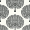 Thibaut Wallpaper Mulberry Tree Black and White T10602
