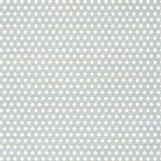 Pergola Navy T12808 by Thibaut Wallpaper Thibaut Wallpaper Pergola Navy T12808Wallpaper Modern Resource 3 Abaca CHINA </p><p>Repeat: V: 2.75 36 - Fabric Carolina -
