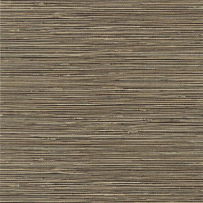 St. Thomas Black T13347 by Thibaut Wallpaper Thibaut Wallpaper St. Thomas Black T13347Wallpaper Pavilion Non-Woven Vinyl Wallpaper UNITED STATES </p><p>Repeat: V: 21 27 - Fabric Carolina -