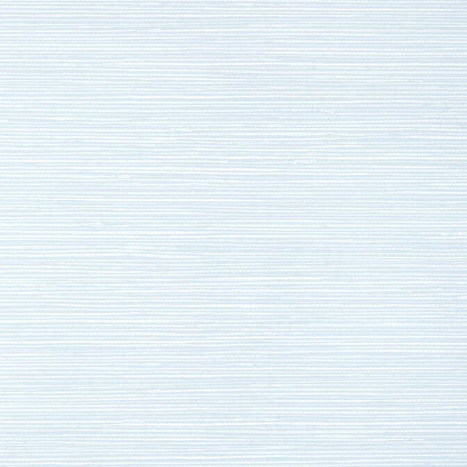 St. Thomas Ice T13348 by Thibaut Wallpaper Thibaut Wallpaper St. Thomas Ice T13348Wallpaper Pavilion Non-Woven Vinyl Wallpaper UNITED STATES </p><p>Repeat: V: 21 27 - Fabric Carolina -