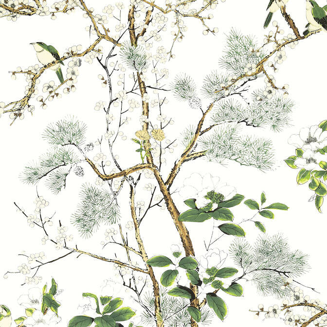 Katsura Green and White T13621 by Thibaut Wallpaper Thibaut Wallpaper Katsura Green and White T13621Wallpaper Grand Palace Non Woven Wallpaper UNITED STATES </p><p>Repeat: V: 51 27 - Fabric Carolina -