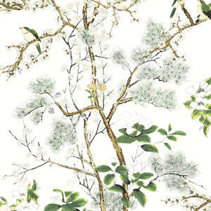 Thibaut Wallpaper Katsura Green and White T13621