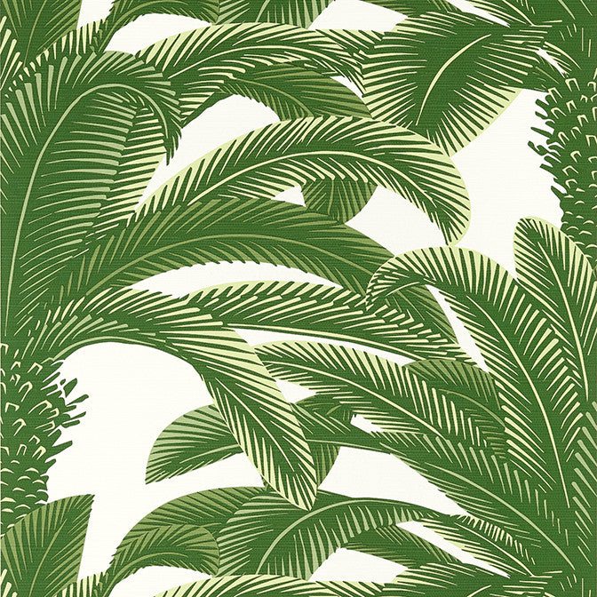 Queen Palm Green T13907 by Thibaut Wallpaper Thibaut Wallpaper Queen Palm Green T13907Wallpaper Palm Grove Non-Woven Vinyl Wallpaper U.S.A. </p><p>Repeat: V: 25 27 - Fabric Carolina -