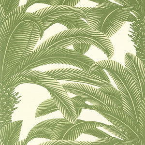 Thibaut Wallpaper Queen Palm Sage T13911