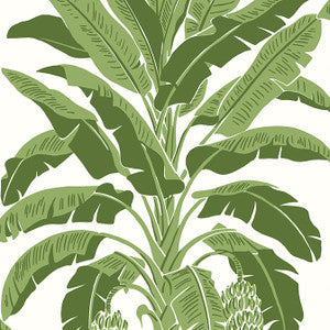 Thibaut Wallpaper Banana Tree Green T13914