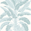 Thibaut Wallpaper Banana Tree Spa Blue T13916