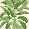 Thibaut Wallpaper Banana Tree Pink and Green T13917