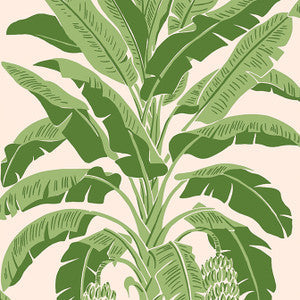 Thibaut Wallpaper Banana Tree Pink and Green T13917
