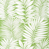 Thibaut Wallpaper Siesta Key Green T13927