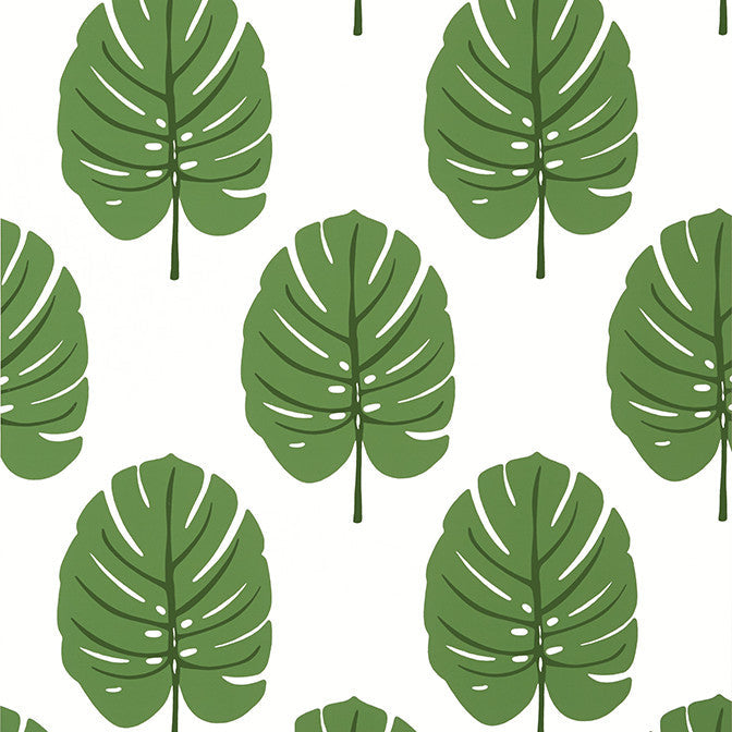 Monstera Green T13952 by Thibaut Wallpaper Thibaut Wallpaper Monstera Green T13952Wallpaper Palm Grove Wallpaper U.S.A. </p><p>Repeat: V: 18 27 - Fabric Carolina -