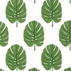 Thibaut Wallpaper Monstera Green T13952