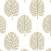 Thibaut Wallpaper Monstera Beige T13956