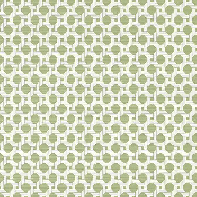 Charter Sage T13959 by Thibaut Wallpaper Thibaut Wallpaper Charter Sage T13959Wallpaper Palm Grove Non Woven Wallpaper U.S.A. </p><p>Repeat: V: 2.75 27 - Fabric Carolina -