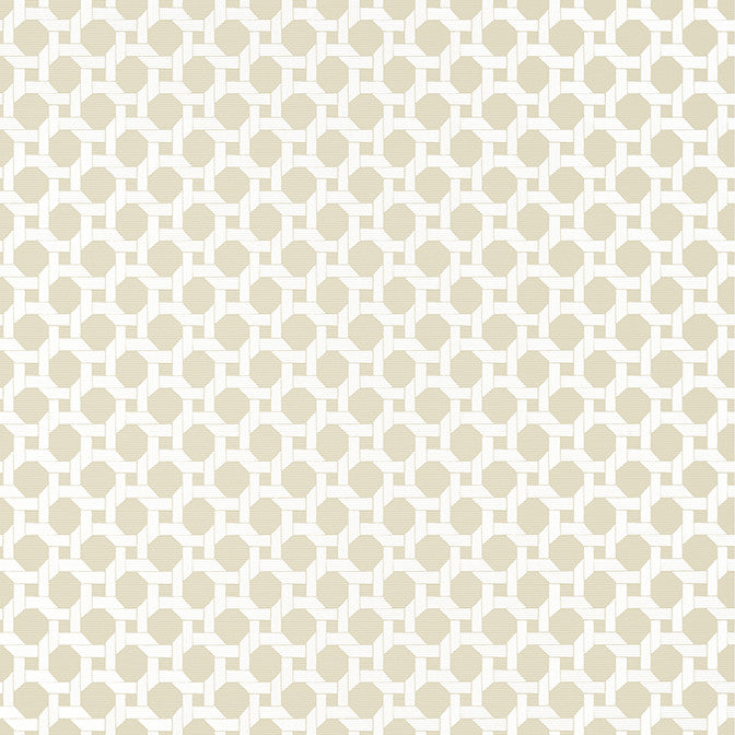 Charter Beige T13961 by Thibaut Wallpaper Thibaut Wallpaper Charter Beige T13961Wallpaper Palm Grove Non Woven Wallpaper U.S.A. </p><p>Repeat: V: 2.75 27 - Fabric Carolina -