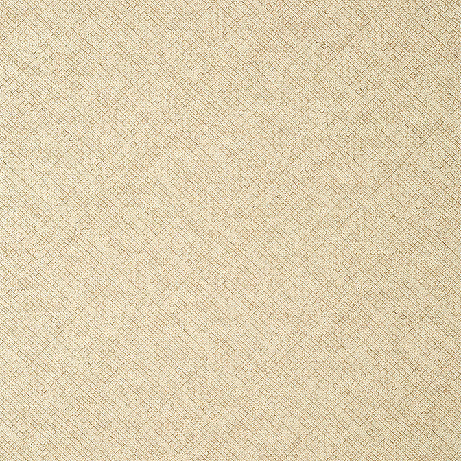 Jackson Weave Cashmere T14503 by Thibaut Wallpaper Thibaut Wallpaper Jackson Weave Cashmere T14503Wallpaper Texture Resource 8 Non-Woven Vinyl Wallpaper UNITED STATES </p><p>Repeat: V: 0 26 - Fabric Carolina -