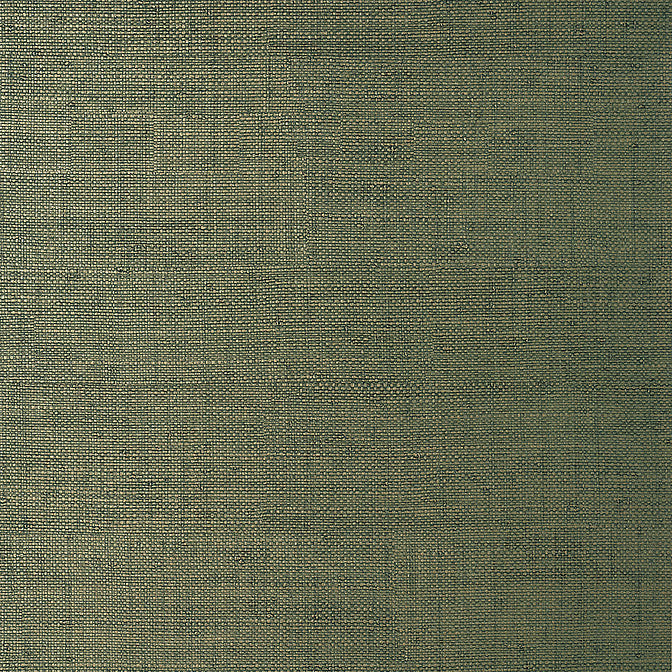 Bankun Raffia Forest T14513 by Thibaut Wallpaper Thibaut Wallpaper Bankun Raffia Forest T14513Wallpaper Texture Resource 8 Non-Woven Vinyl Wallpaper UNITED STATES </p><p>Repeat: V: 0 26 - Fabric Carolina -