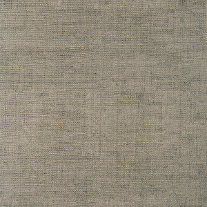 Thibaut Wallpaper Bankun Raffia Flannel T14515