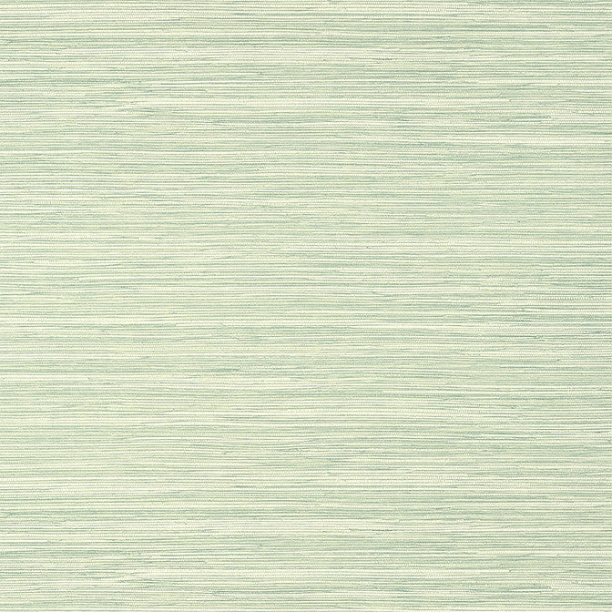 Normandy Celadon T14552 by Thibaut Wallpaper Thibaut Wallpaper Normandy Celadon T14552Wallpaper Texture Resource 8 Non-Woven Vinyl Wallpaper UNITED STATES </p><p>Repeat: V: 21 27 - Fabric Carolina -