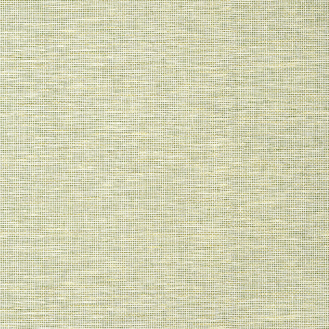 Spiro Spring T14585 by Thibaut Wallpaper Thibaut Wallpaper Spiro Spring T14585Wallpaper Texture Resource 8 Non-Woven Vinyl Wallpaper UNITED STATES </p><p>Repeat: V: 0 27 - Fabric Carolina -