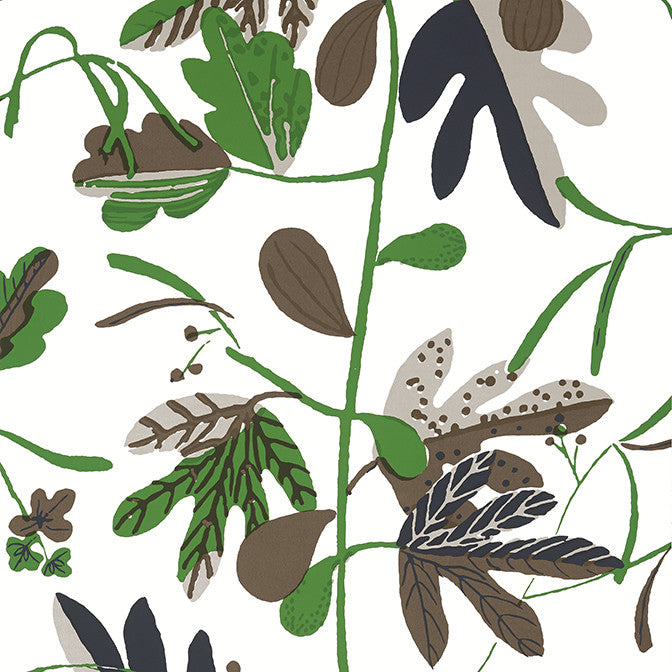 Matisse Leaf Black and Green T16208 by Thibaut Wallpaper Thibaut Wallpaper Matisse Leaf Black and Green T16208Wallpaper Kismet Wallpaper U.S.A. </p><p>Repeat: V: 36 27 - Fabric Carolina -