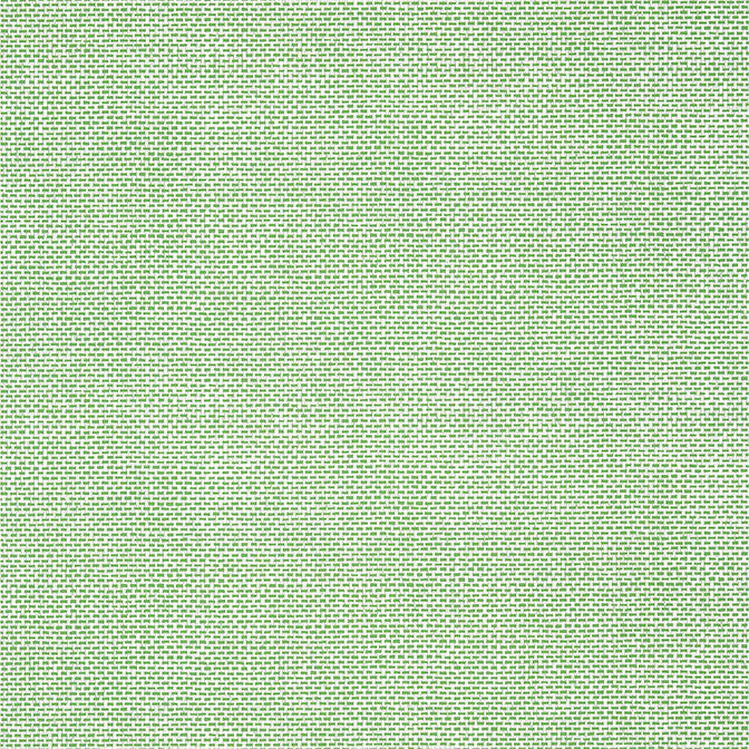Palawan Green T16261 by Thibaut Wallpaper Thibaut Wallpaper Palawan Green T16261Wallpaper Kismet Wallpaper U.S.A. </p><p>Repeat: V: 12.62 27 - Fabric Carolina -