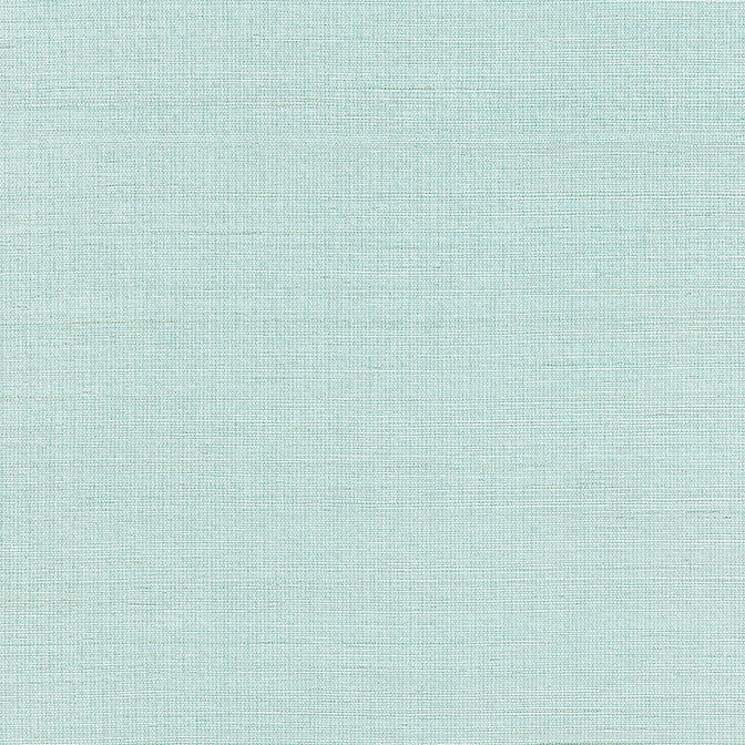 Shang Extra Fine Sisal Seaglass T19615 by Thibaut Wallpaper Thibaut Wallpaper Shang Extra Fine Sisal Seaglass T19615Wallpaper Grasscloth Resource 6 Extra Fine Sisal CHINA </p><p>Repeat: V: - 36 - Fabric Carolina -