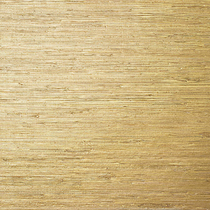 Sutton Metallic Gold T24062 by Thibaut Wallpaper Thibaut Wallpaper Sutton Metallic Gold T24062Wallpaper Grasscloth Resource 5 Grasscloth Printed KOREA </p><p>Repeat: V: - 36 - Fabric Carolina -