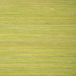 Thibaut Wallpaper Raffia Palm Apple Green T24070