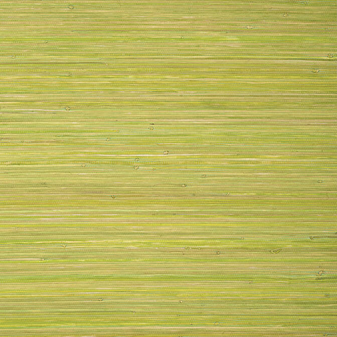Raffia Palm Apple Green T24070 by Thibaut Wallpaper Thibaut Wallpaper Raffia Palm Apple Green T24070Wallpaper Grasscloth Resource 5 Raffia KOREA </p><p>Repeat: V: - 36 - Fabric Carolina -