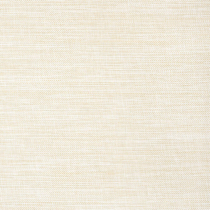 Calistoga Pebbles T24116 by Thibaut Wallpaper Thibaut Wallpaper Calistoga Pebbles T24116Wallpaper Grasscloth Resource 5 Paperweave KOREA </p><p>Repeat: V: - 36 - Fabric Carolina -