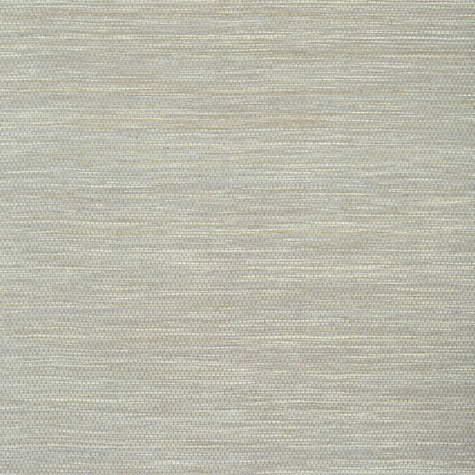 Cape May Weave Light Grey T27000 by Thibaut Wallpaper Thibaut Wallpaper Cape May Weave Light Grey T27000Wallpaper Natural Resource 3 Raffia KOREA </p><p>Repeat: V: - 36 - Fabric Carolina -