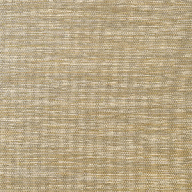 Cape May Weave Brown T27008 by Thibaut Wallpaper Thibaut Wallpaper Cape May Weave Brown T27008Wallpaper Natural Resource 3 Raffia KOREA </p><p>Repeat: V: - 36 - Fabric Carolina -