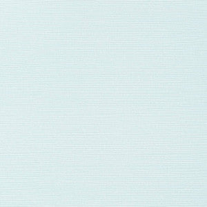 Thibaut Wallpaper Taluk Sisal Robin's Egg T284
