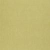 Thibaut Wallpaper SAGRI - Sea Palm