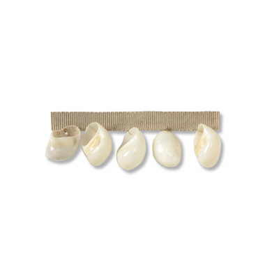 Pearl Shells Salt by Kravet Couture Designer Trim BARBARA BARRY COLLECTION SHELLS - 95%;POLYESTER - 5% China LIGHT Horizontal: 1 and Vertical: 0 1.5 - Swanky Fabrics -